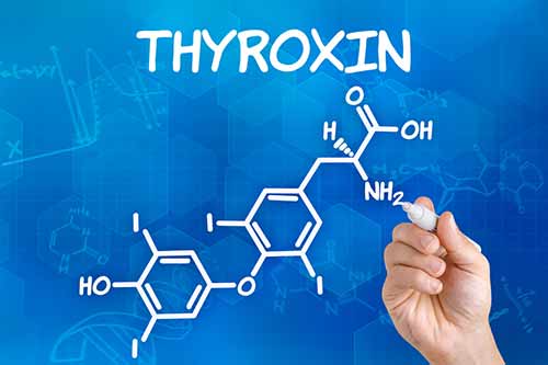 Eine Therapie mit dem Schilddrüsenhormon Thyroxin lindert die Beschwerden bei Hashimoto-Thyreoiditis.